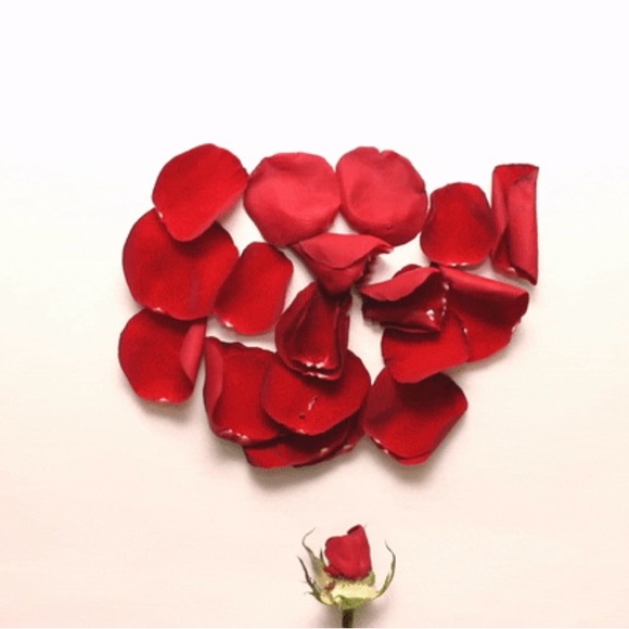 NWT ♥️ HAPPY SOCKS Adult Crew Socks - Picture 7 of 11